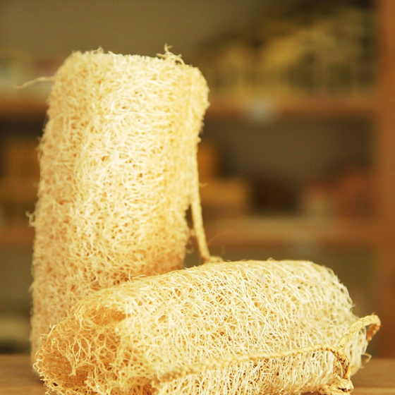 Luffa